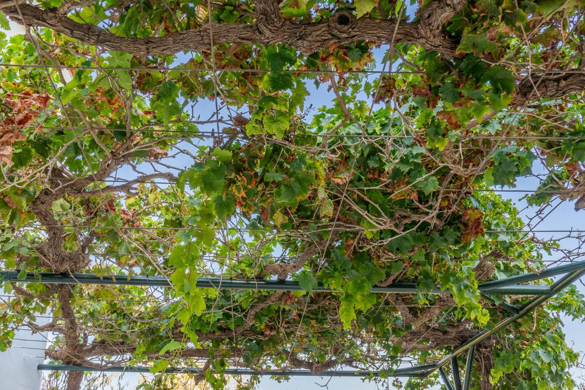 אלורה Paredones III Casa Rural Caminito Del Rey מראה חיצוני תמונה